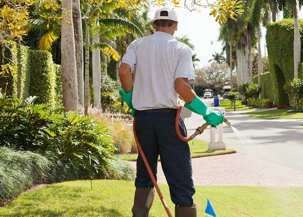 About Oroville CA Pest Control Pros